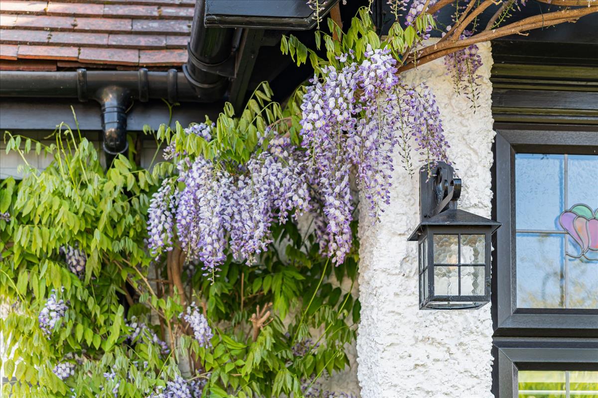 Property Image 0005bf66-a6d7-4c5e-b2fe-431f68de9e6c