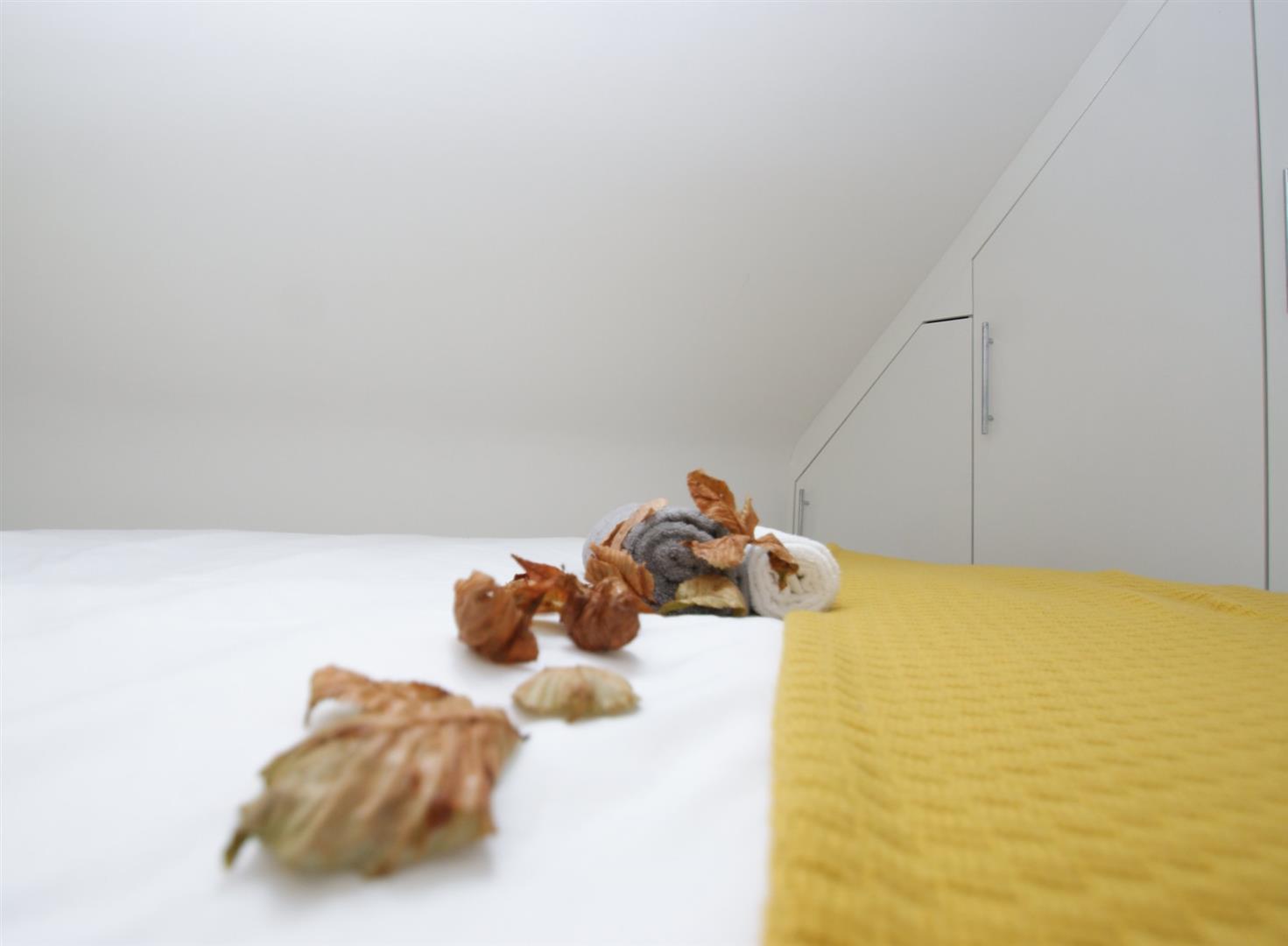 Property Image 00532816-8aa7-4537-9817-9eeea16f3a24
