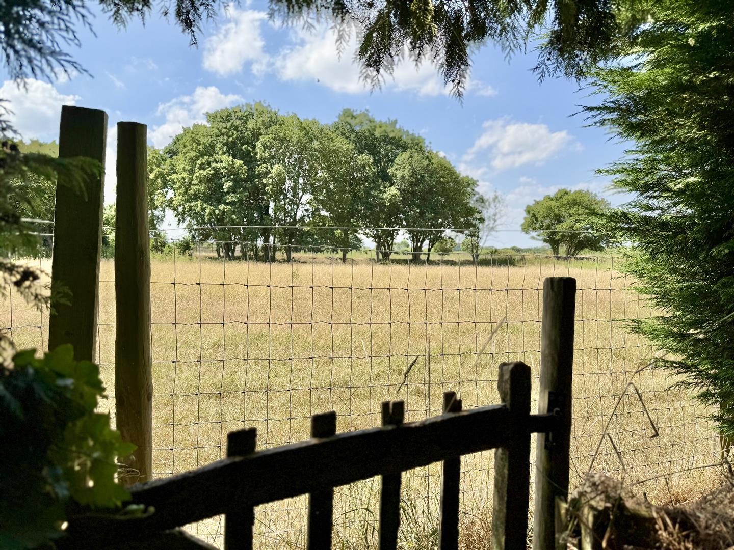 Property Image 0076fb70-da36-4d95-9e31-800276744f14
