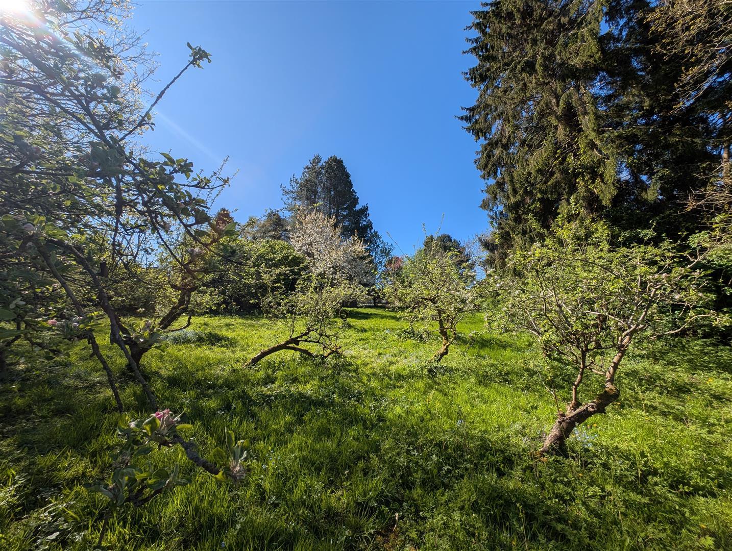 Property Image 007f7d18-b98d-4746-a41a-e7f10b231f9c
