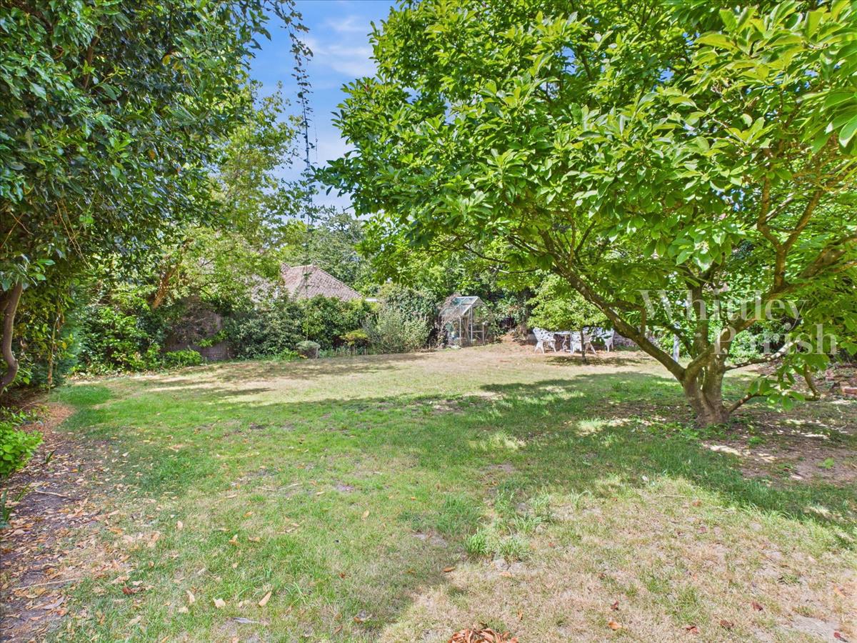 Property Image 00951575-809f-41a5-af7c-8555b61165d1