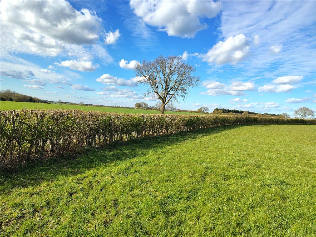 Property Image 0098fce9-e943-4d8e-b252-ac8e692160d5