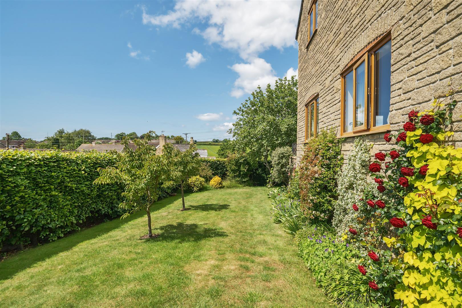 Property Image 00a33432-e600-42ce-9f38-21d910696aa8