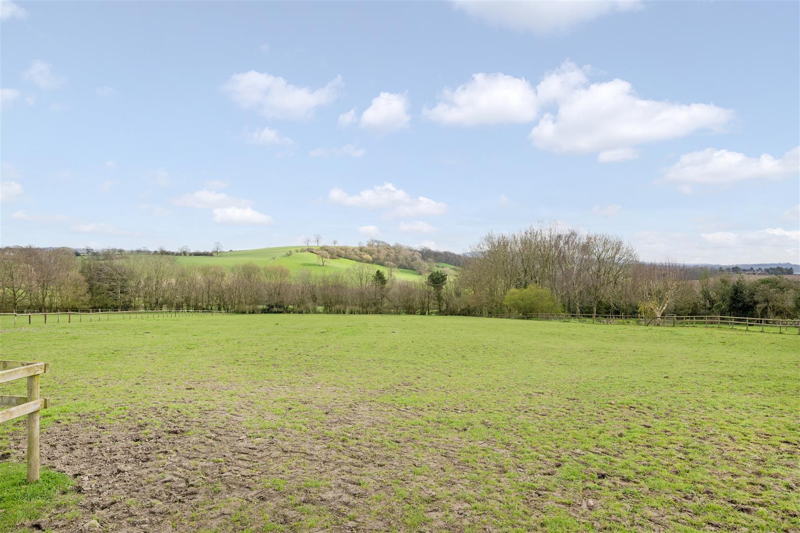 Property Image 00a40177-7b63-48e0-8a0b-e9091142c790