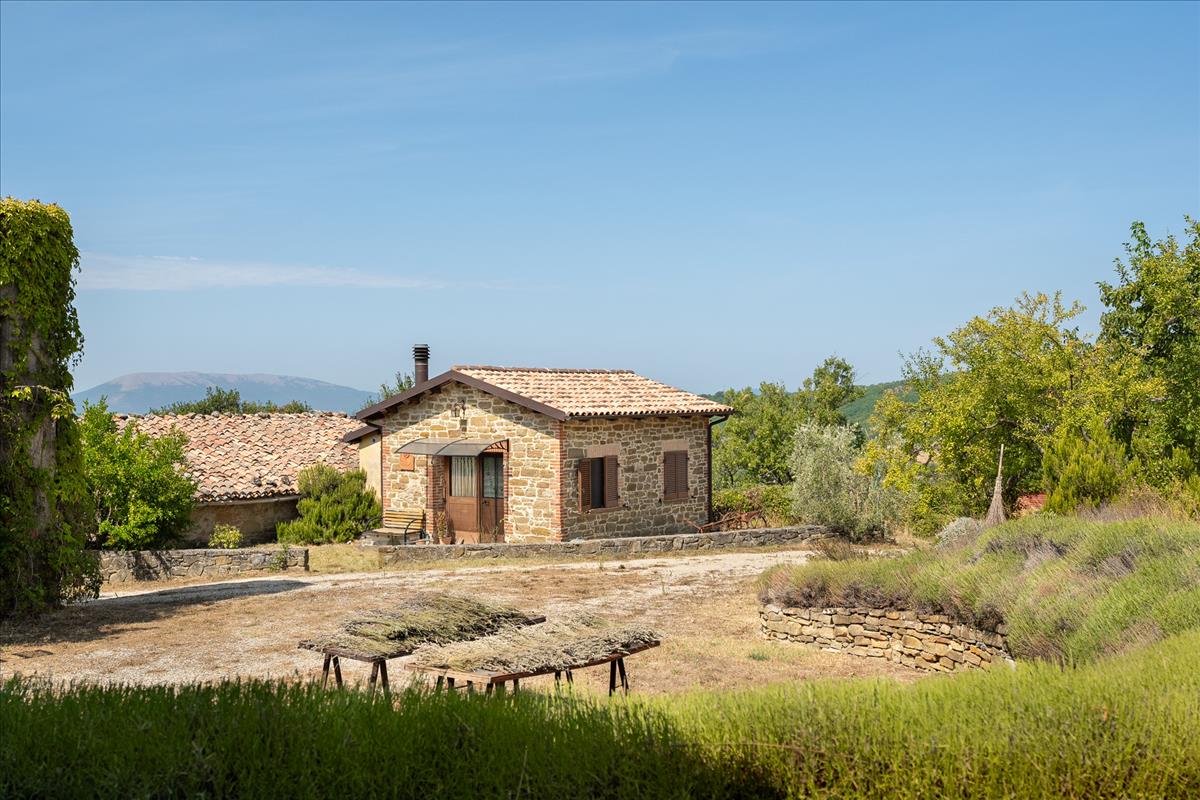 Property Image 00b30f36-ee1f-4132-960a-12f129e4e1d3