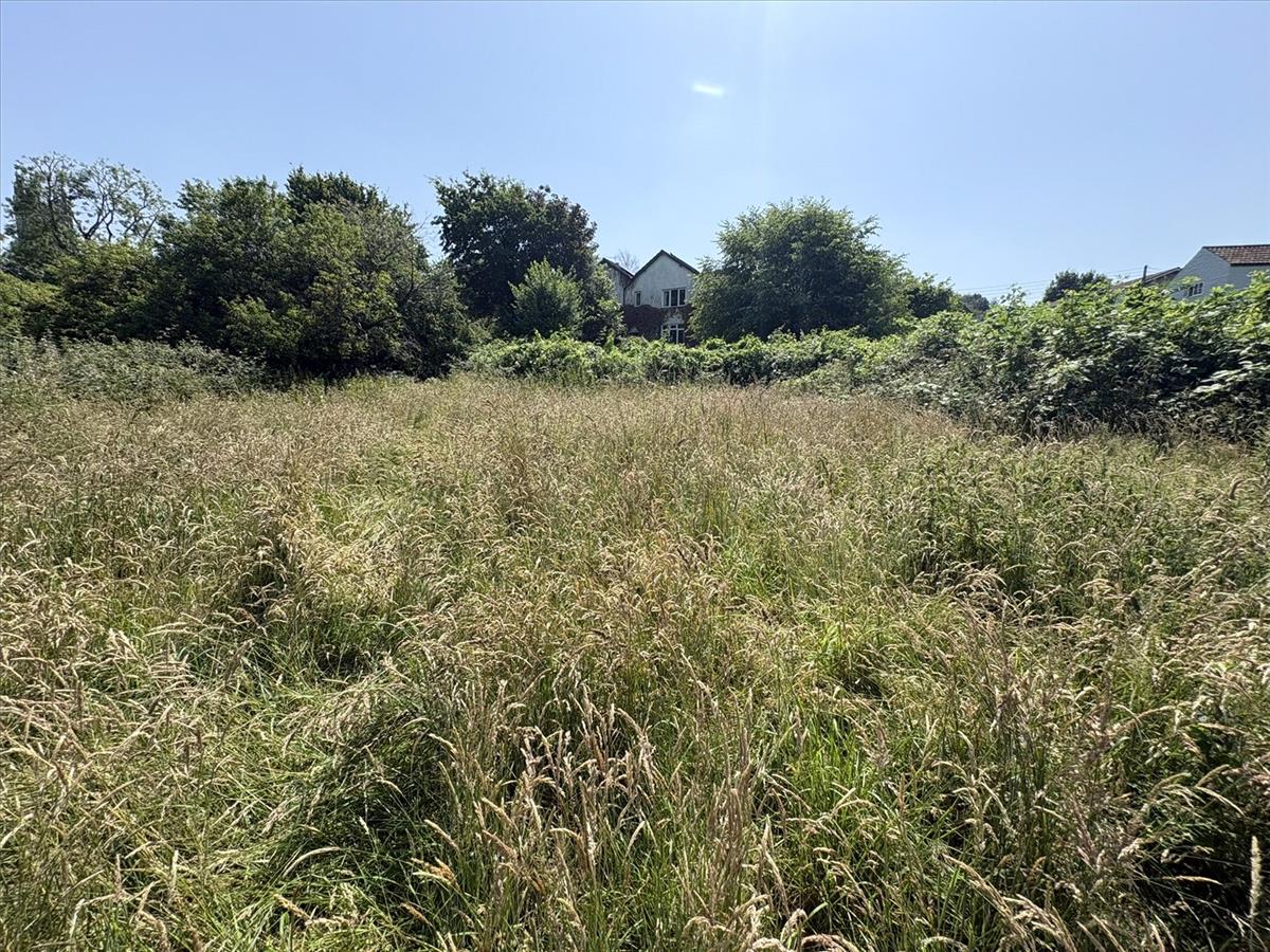 Property Image 00cbd979-c7c5-4294-bbbf-e5e12660f9bb