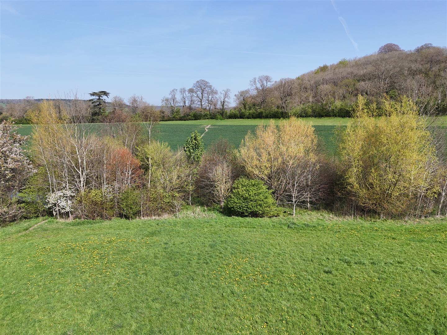 Property Image 00ceb4b5-55ef-425d-bab9-02f10c0476c3