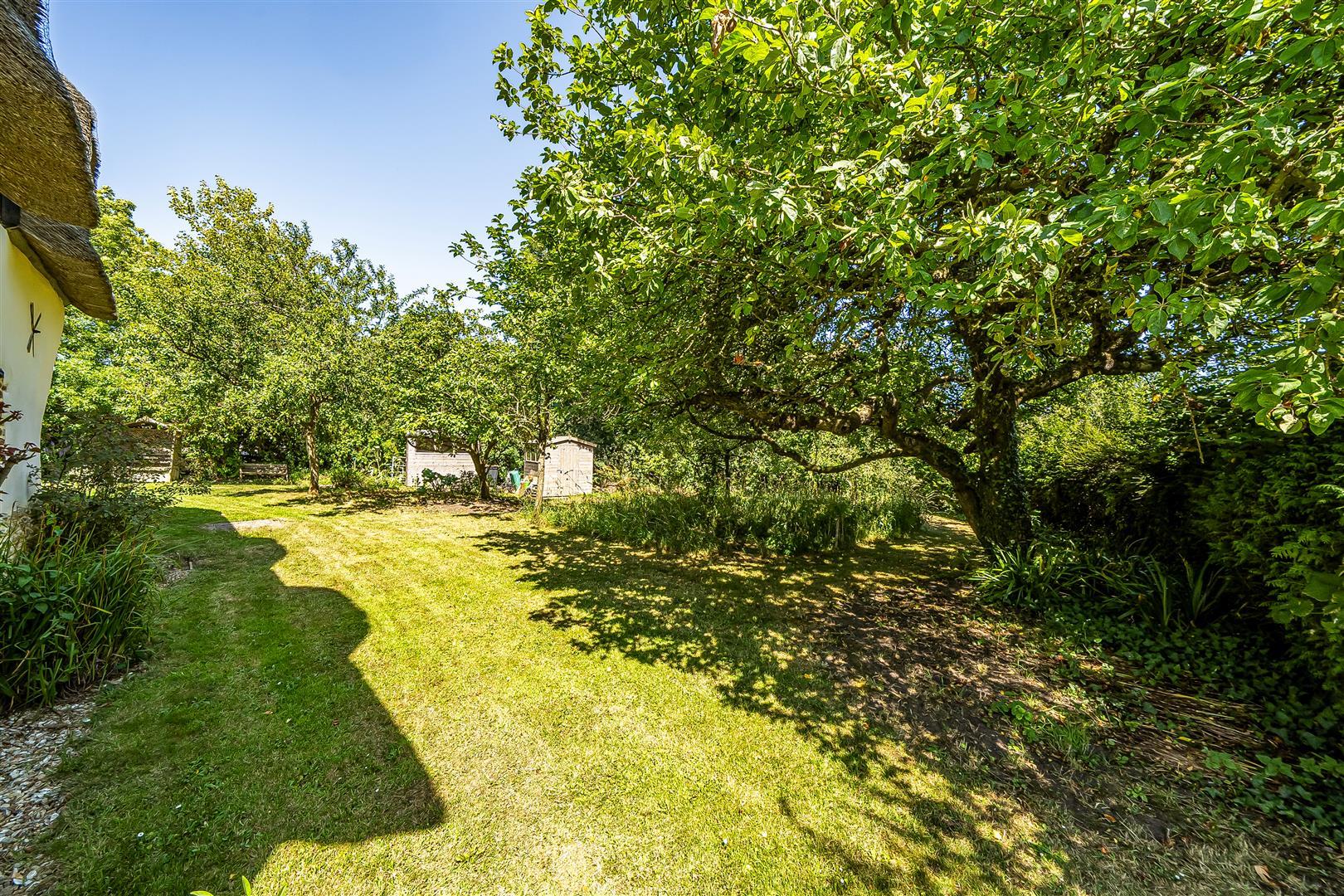 Property Image 00e149da-bc9c-41c3-9e8e-217d0deca3b9