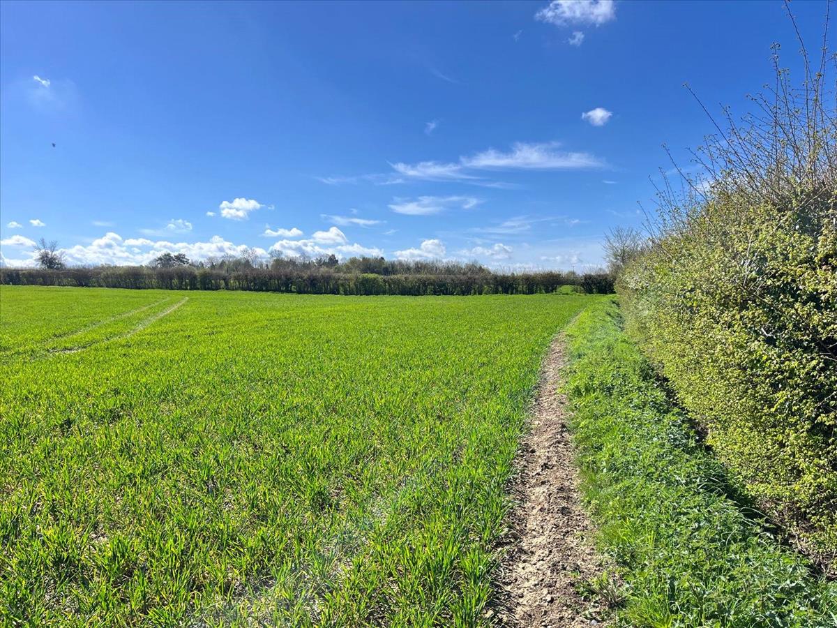 Property Image 00f7eaed-20b3-4c7d-8c75-0f437d4dc316