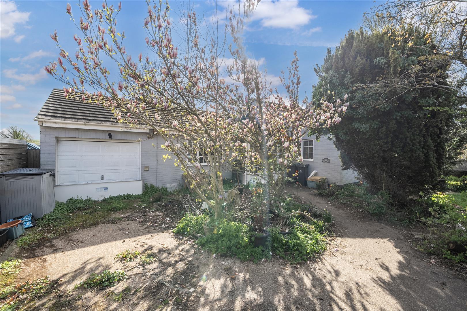 Property Image 011c6770-40f4-48f4-bec7-ba62cb41da95