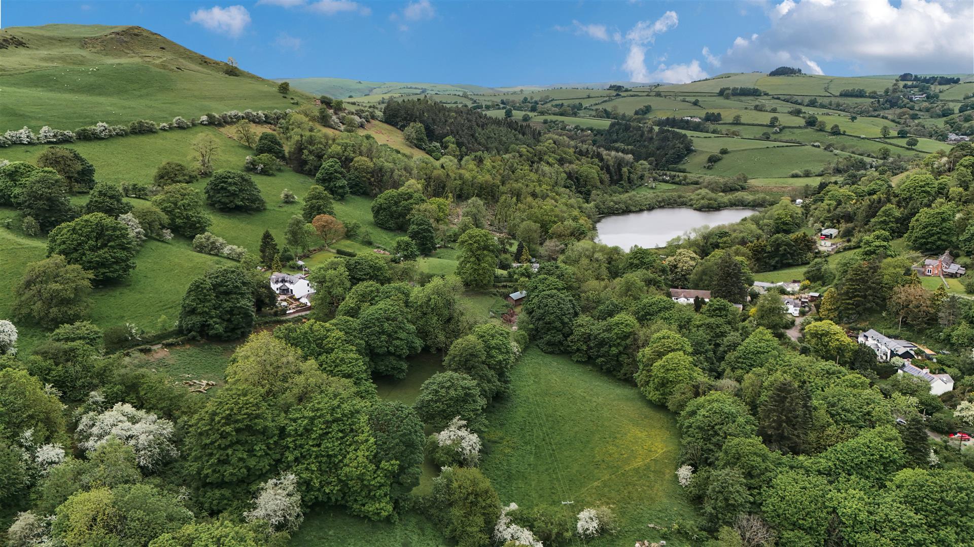 Property Image 0124c4f8-b5cd-4734-8aef-6c4c143c4c78