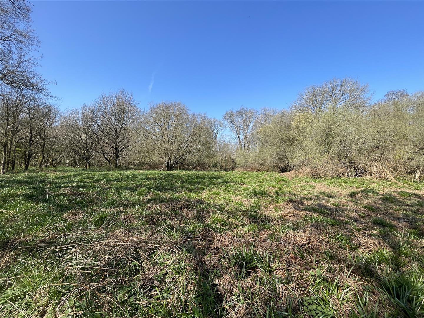 Property Image 0140554d-3b48-4454-832f-eb2dd5984a51