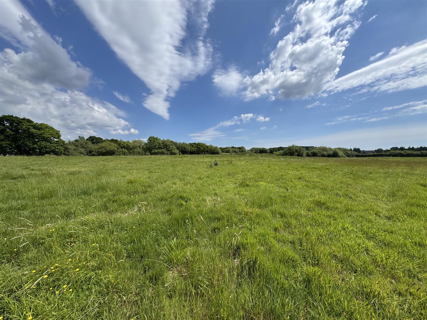 Property Image 01933a64-f97d-434f-ae14-9a28fef6740c