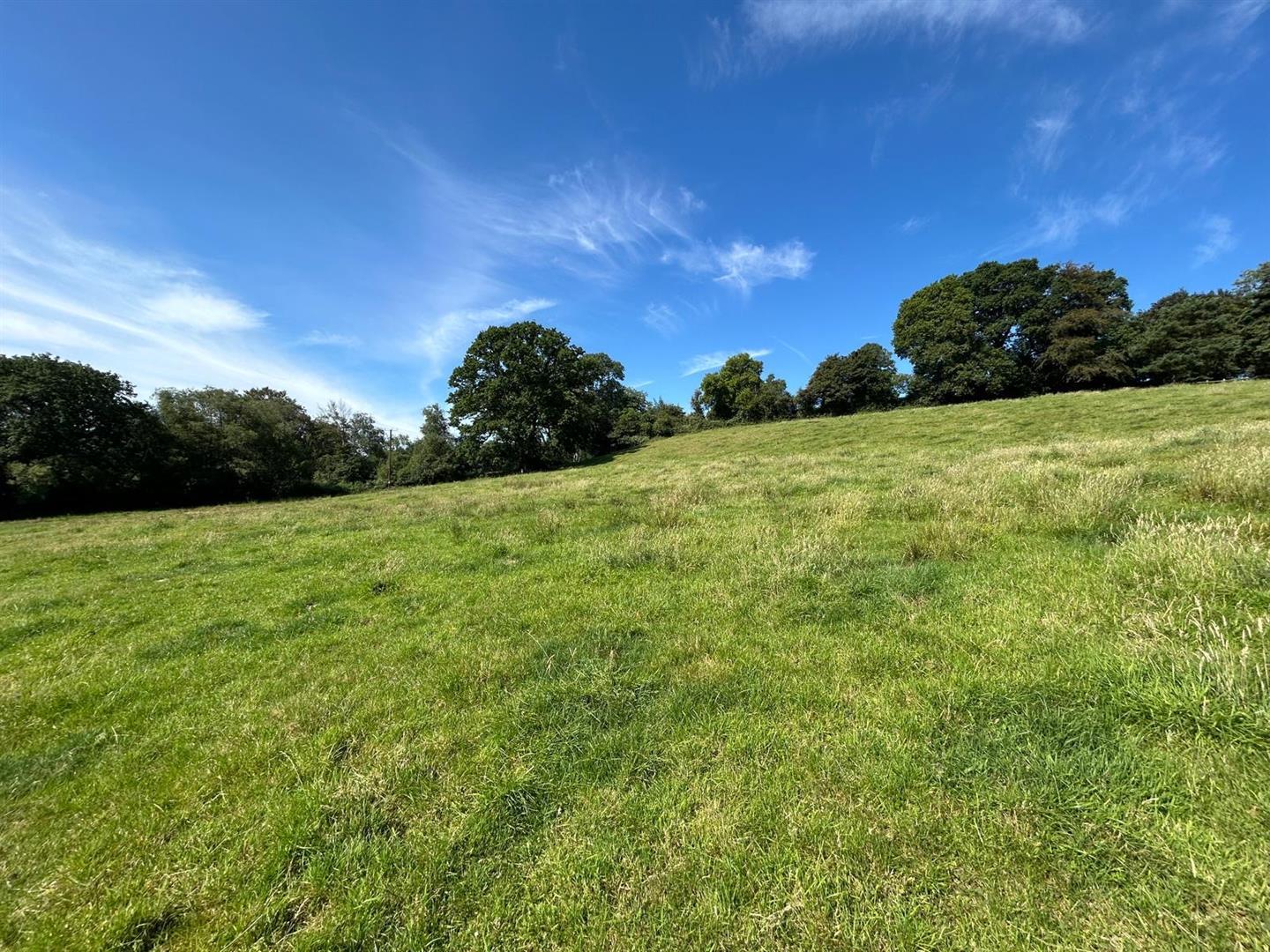 Property Image 01b75793-58d5-4fe9-bd16-ffeb6e13af27