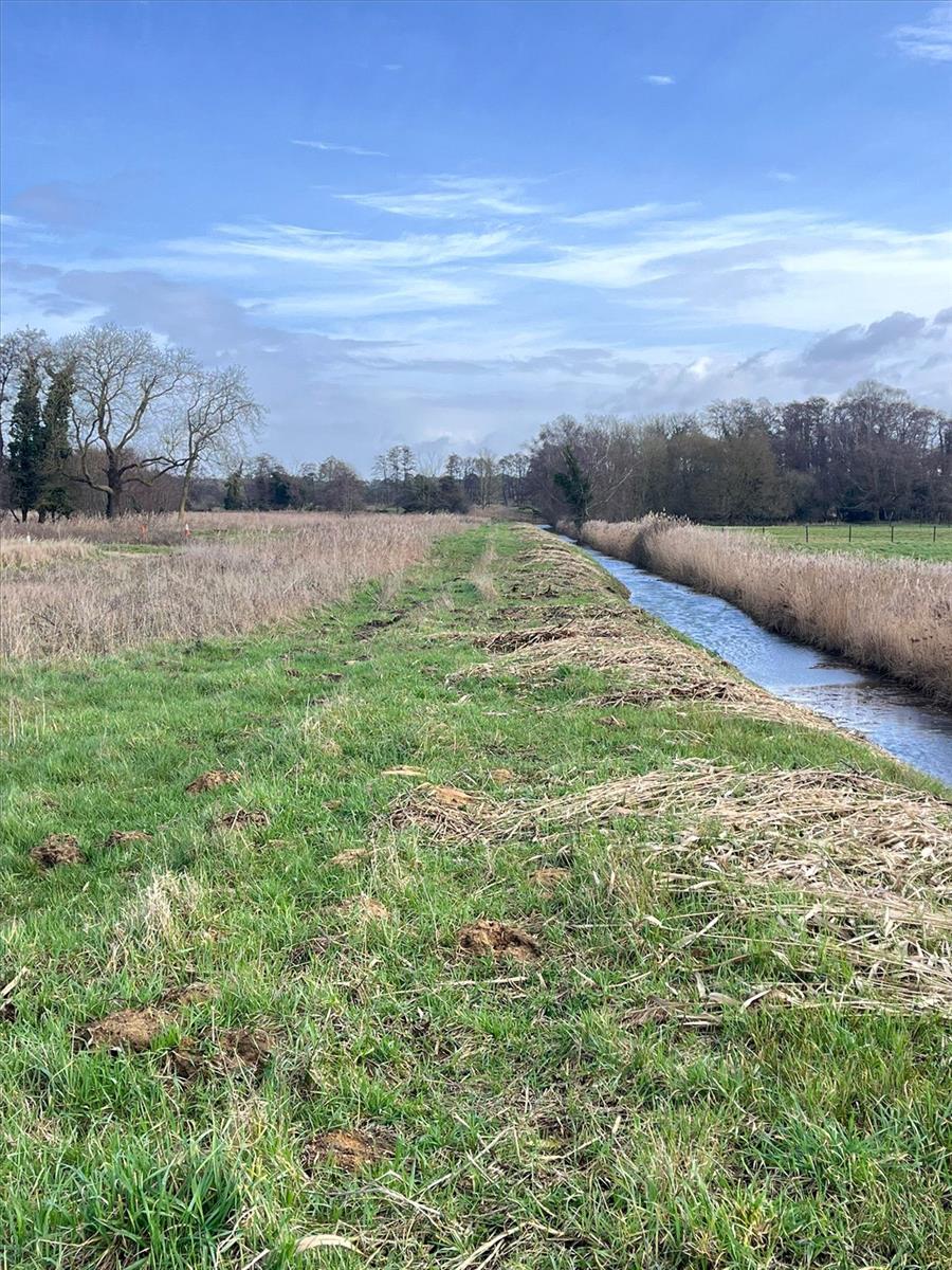 Property Image 01ddc998-2f8a-4564-87e7-cfccf060016c
