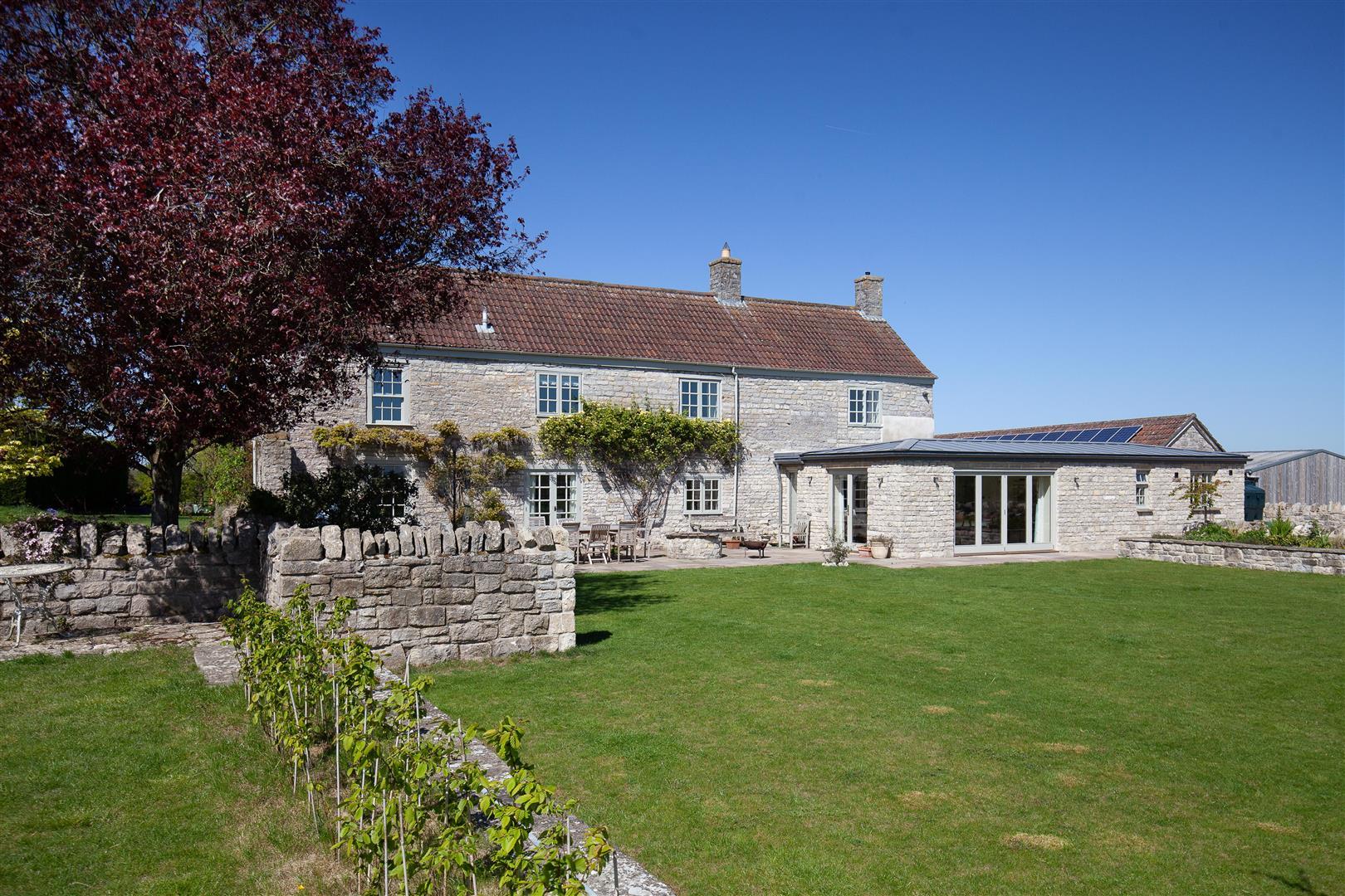 Image 20