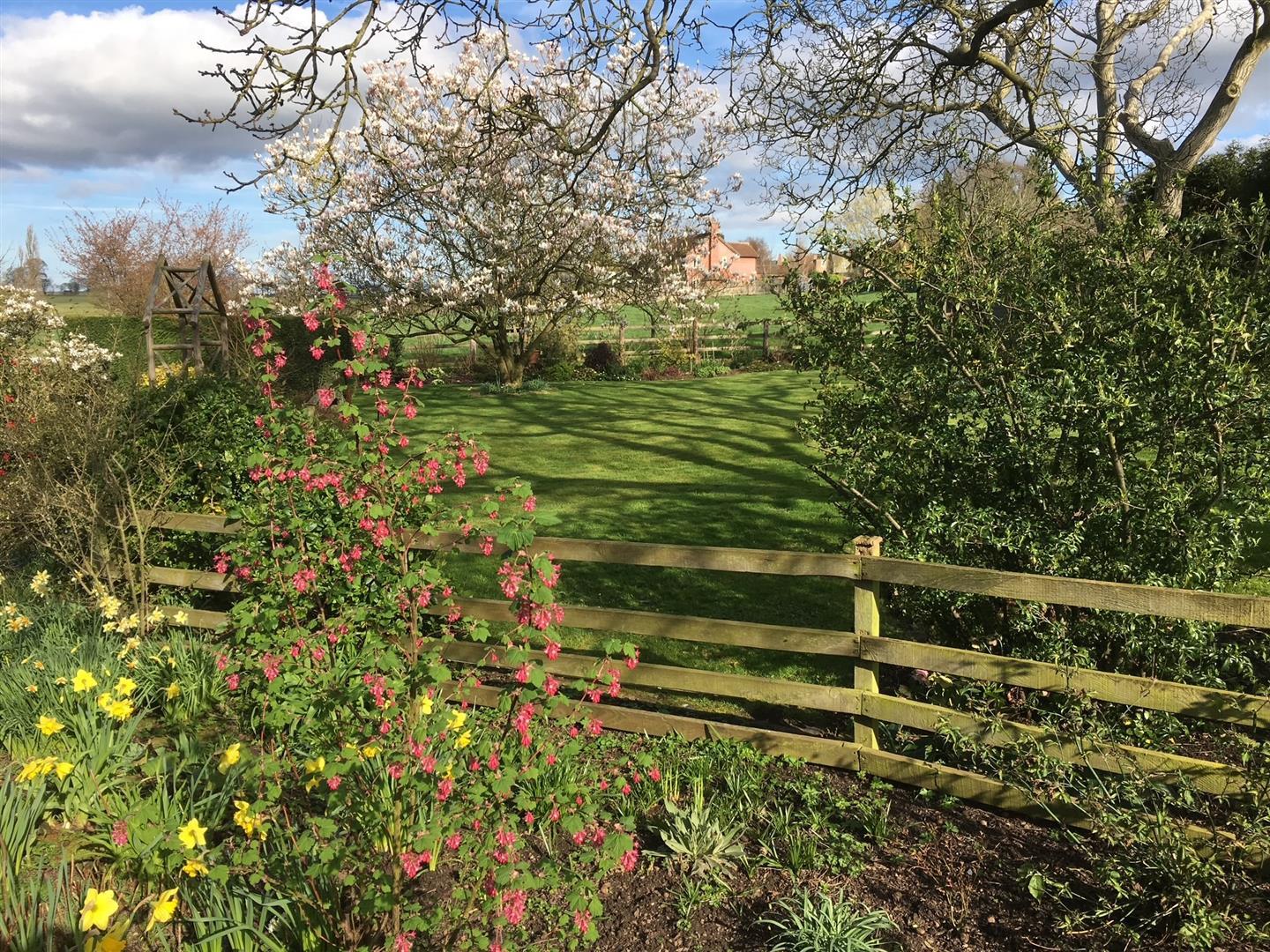 Property Image 023bf6b6-933c-4c86-86b0-5fd5a5c1b5fe