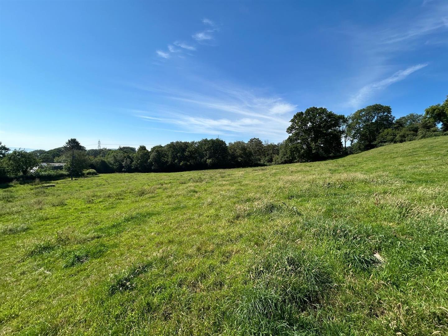 Property Image 0245aab4-7876-47b4-bce2-277fdead6956