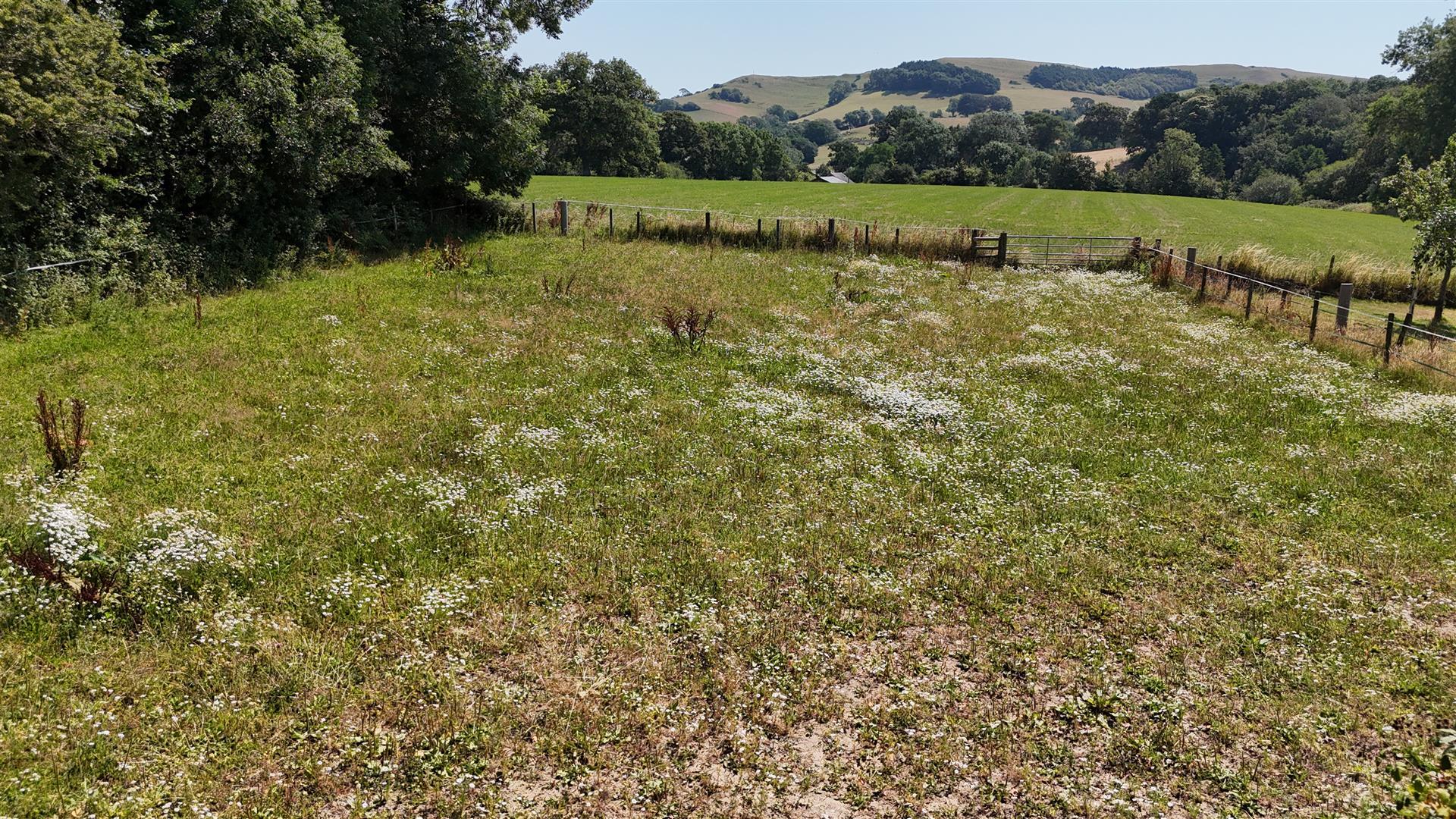 Property Image 029d2fb7-d89d-40cf-bc98-2a5e68cf2f01