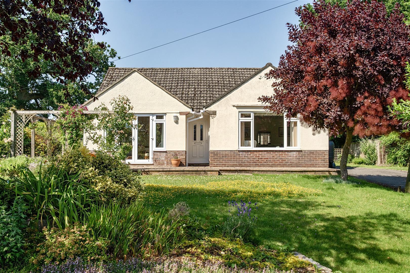 Property Image 031ca347-f5f9-45d6-8972-e2b8bf151fba
