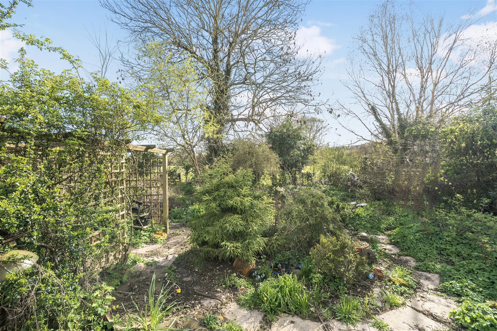 Property Image 0339bbf1-f216-4a60-88cd-5ca2db5bf0e2