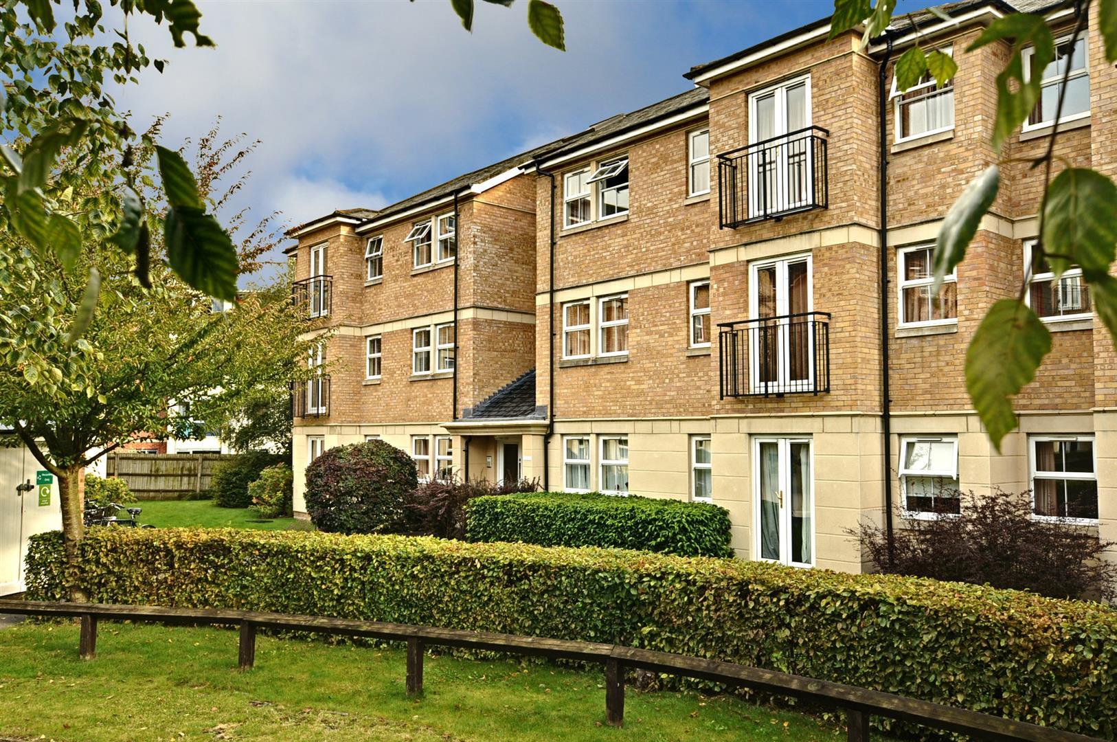 Property Image 03520d94-6e32-4b31-b6b3-a37418b77f5a