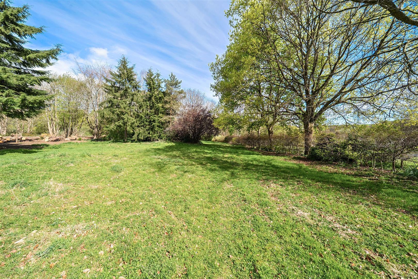 Property Image 0353c1cd-395a-4c88-a009-78b2b1f956ed