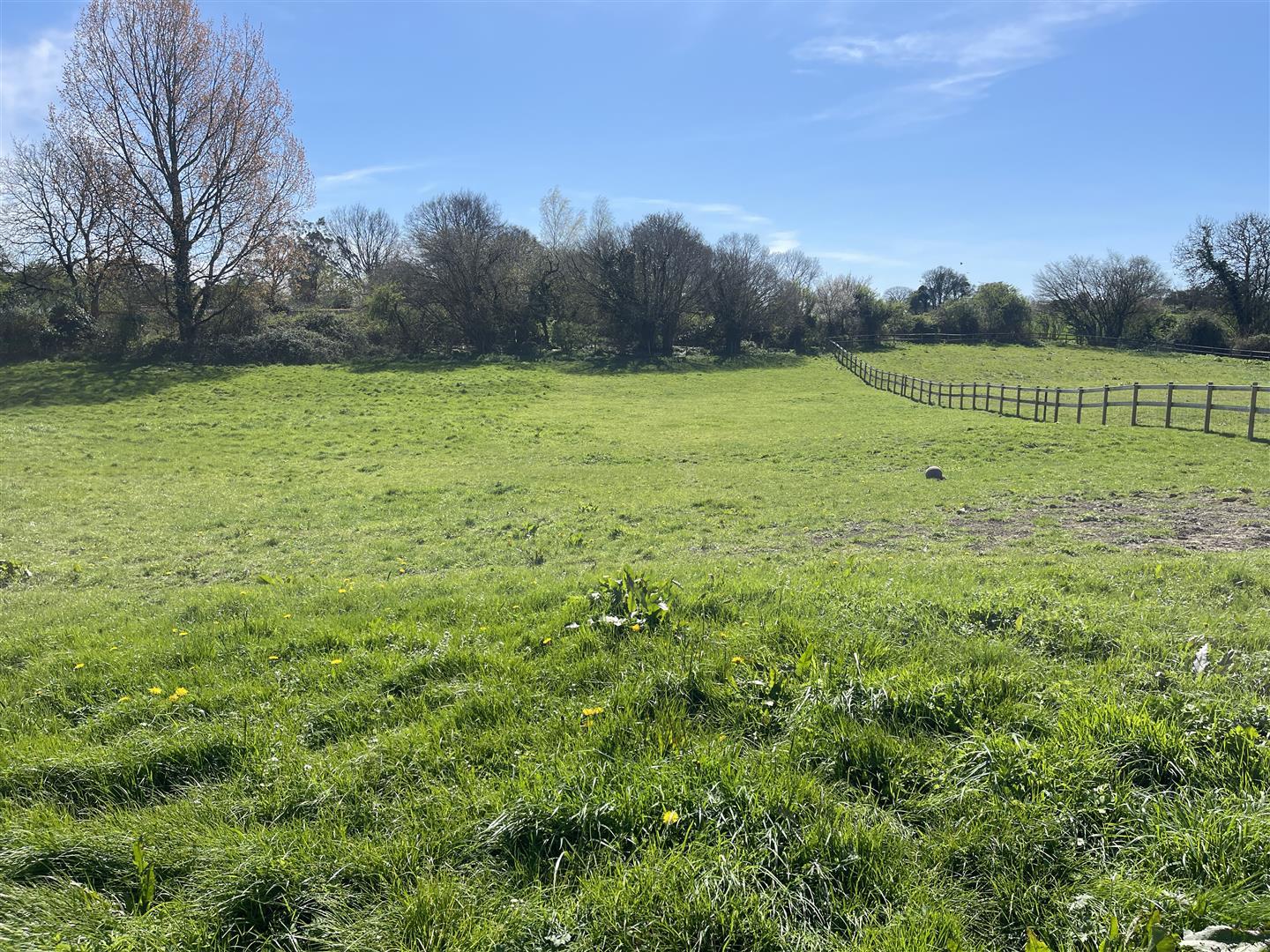 Property Image 035bb7c9-e508-4ea8-9466-e8017e9faa51