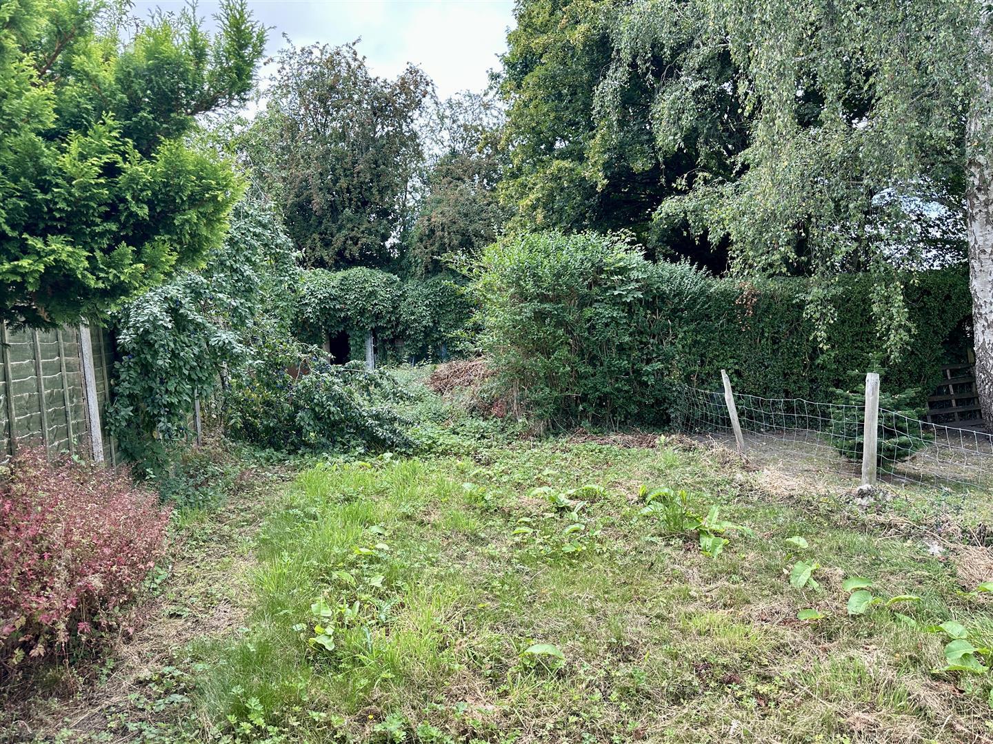 Property Image 0377e6c0-a1d7-4d2b-9531-7a918aa219a7