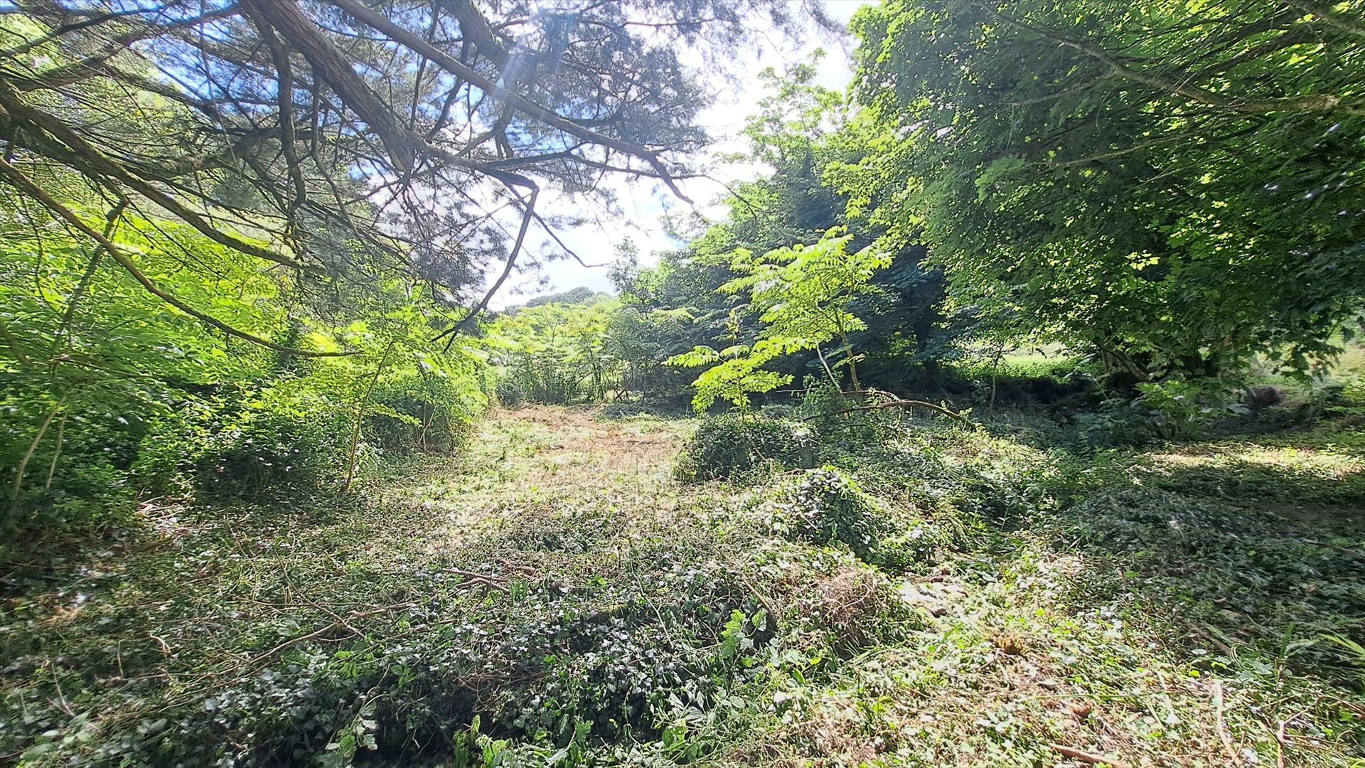 Property Image 039a51f8-b31a-4c1e-9017-908980e6a13c