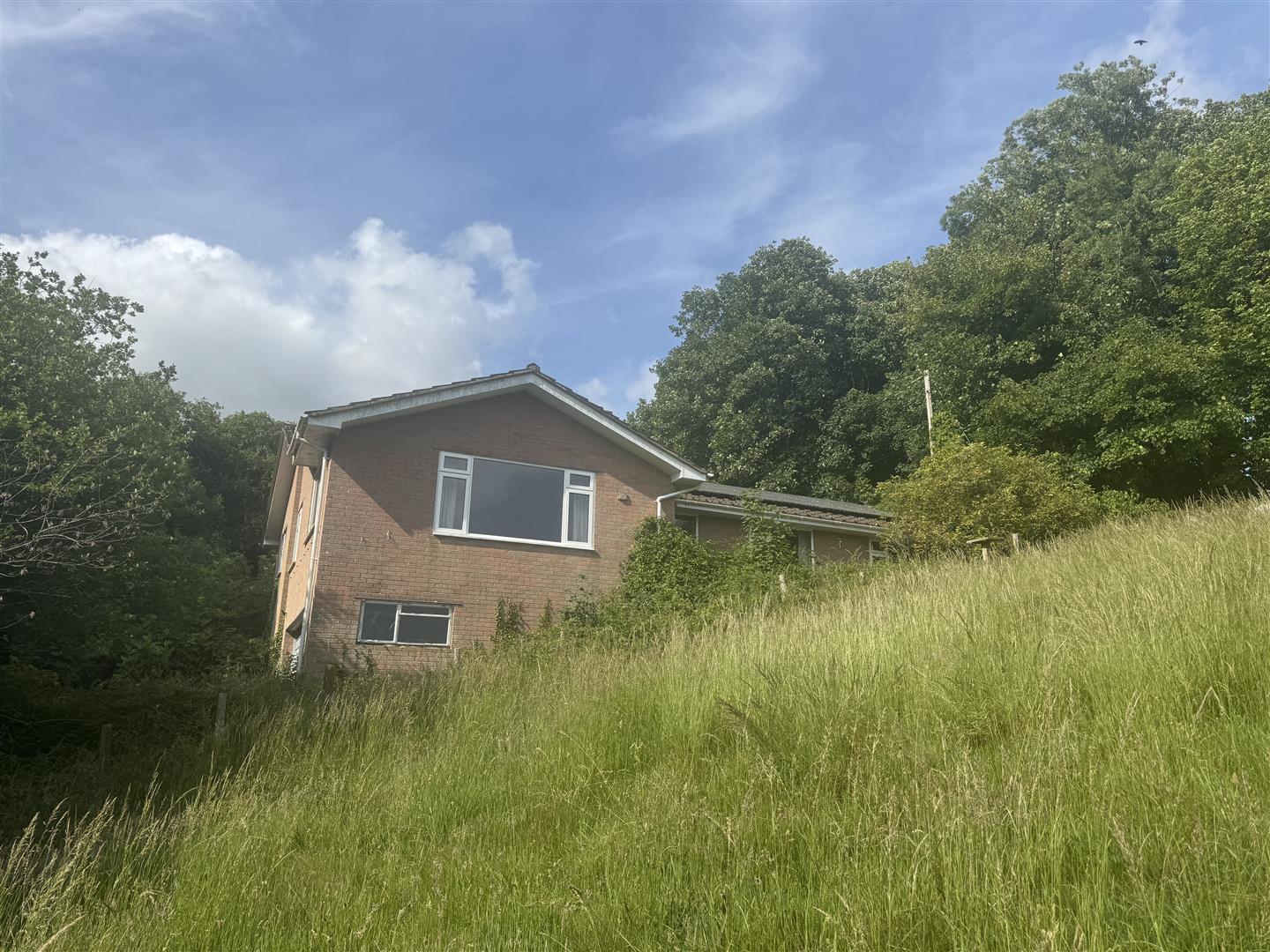 Property Image 039efe42-ab5d-472f-a37d-927aa2329931