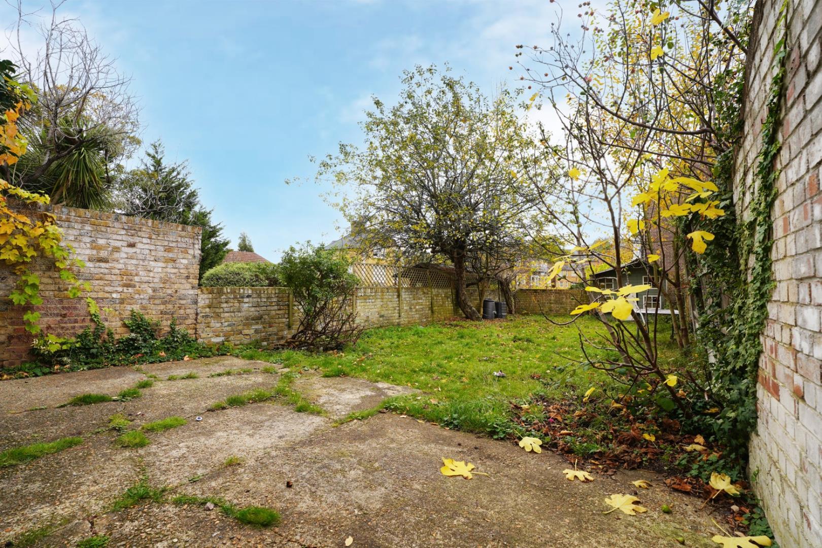 Image 11