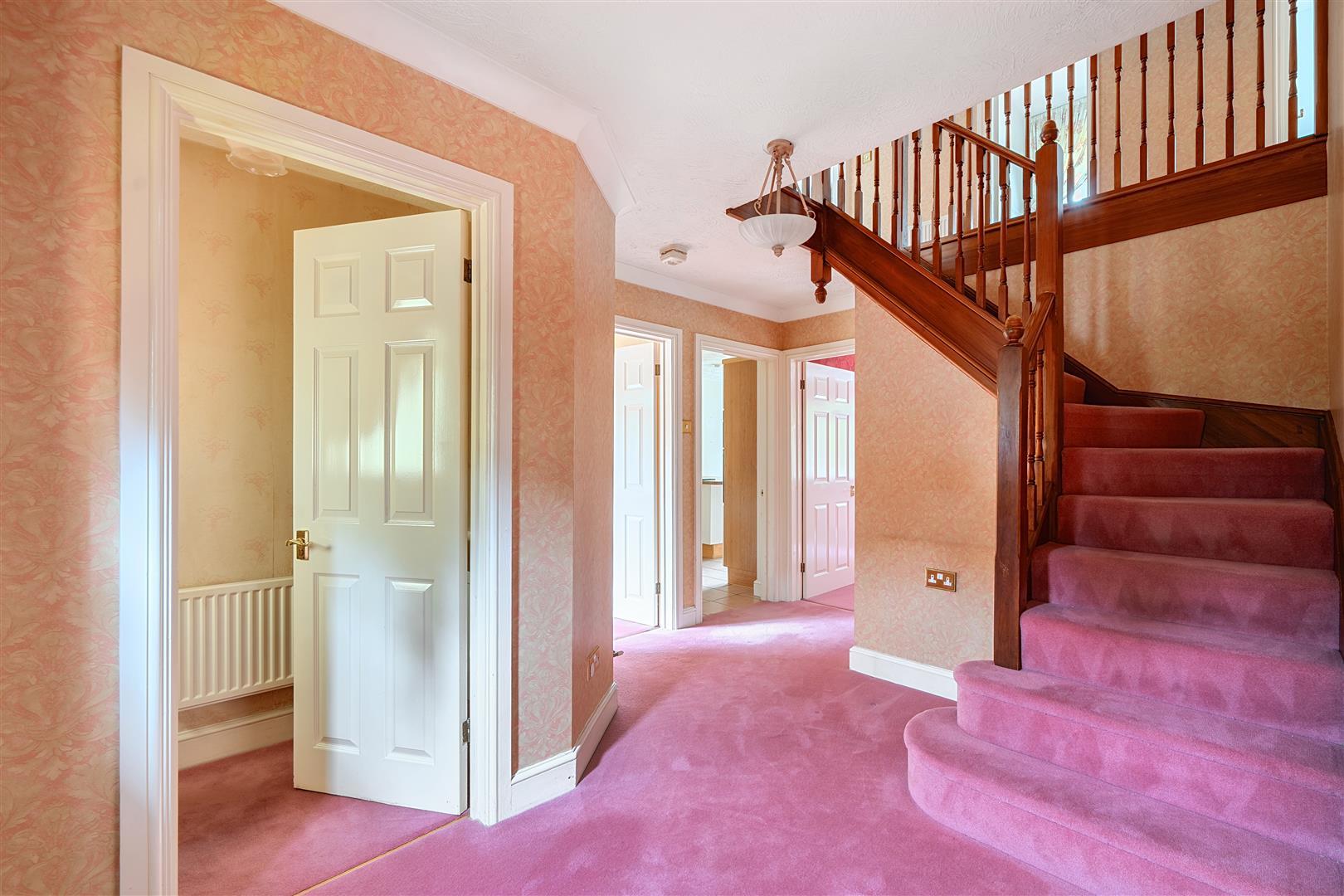 Property Image 03b3795d-a6e1-4cbe-8cae-44164c942372