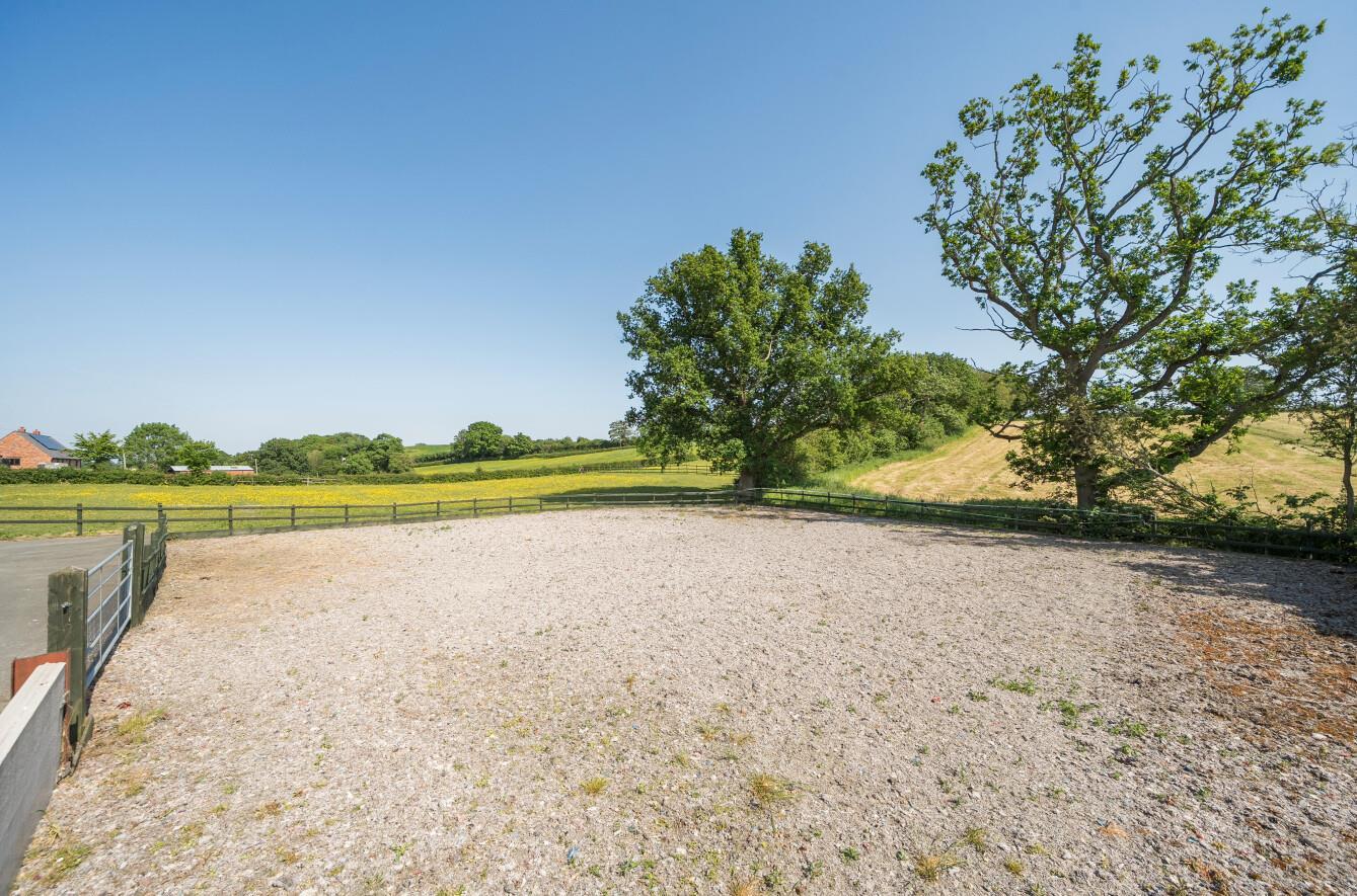 Property Image 03b92874-e562-4c37-b979-bc538e151125