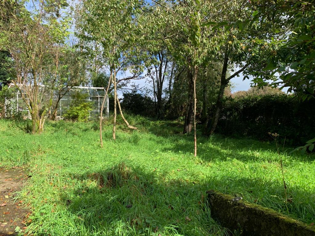 Property Image 03c669ff-61cc-40b7-bd05-30117783ffe6
