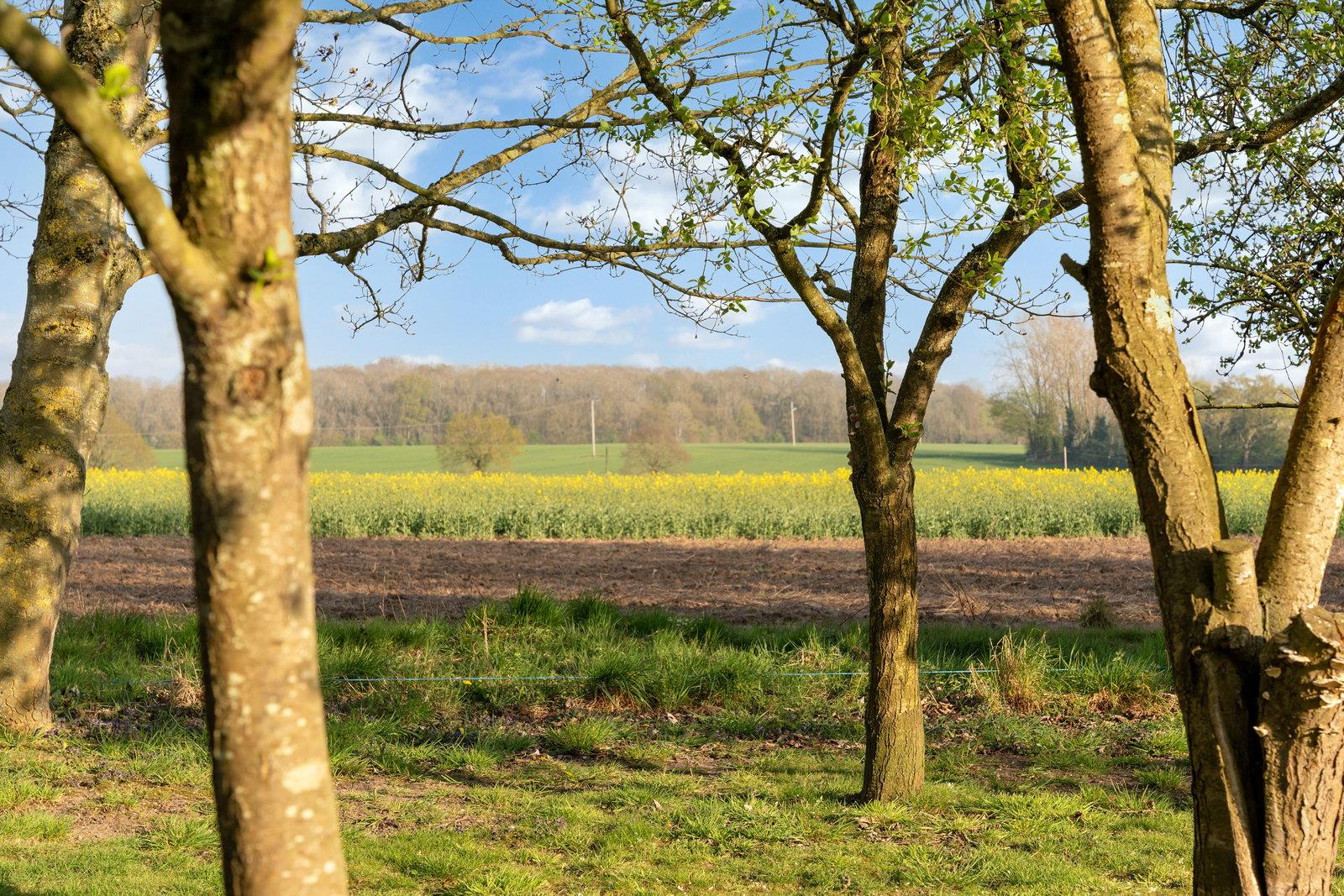 Property Image 03cf3870-3a7d-46b2-a8be-4ed41fa84d20