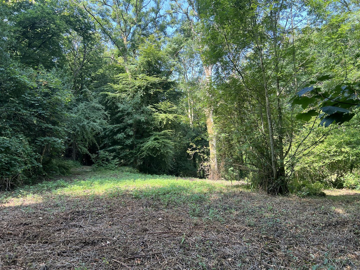 Property Image 03cff3d1-8ff4-479d-b826-43b287dd9506