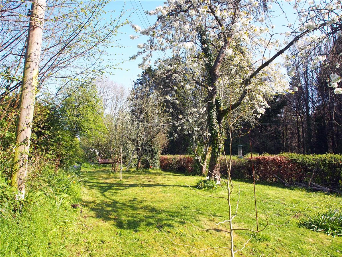 Property Image 0407e81c-1074-4f1d-a89a-ce7c6ef313b7