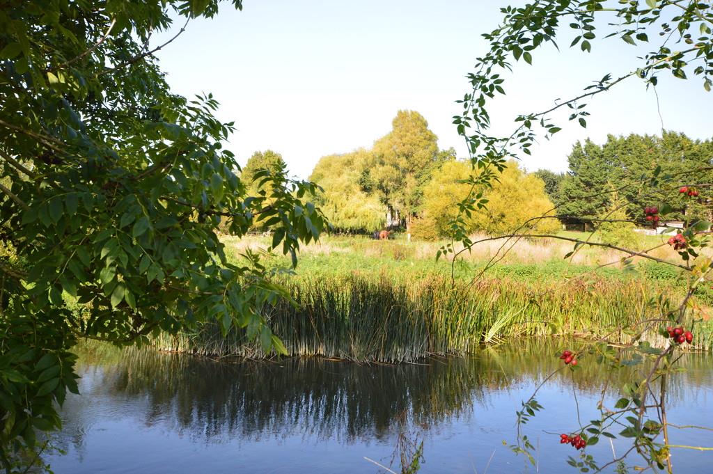 Property Image 047b1eb7-30d6-480f-8379-4ac643208d1c