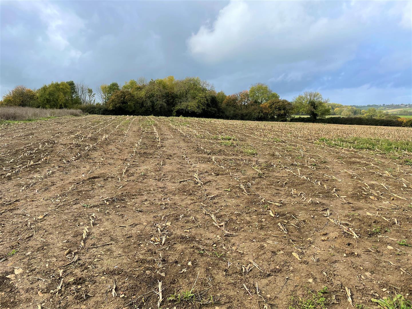 Property Image 049128fc-52dd-4a14-b3b4-ef4659a6dfe0