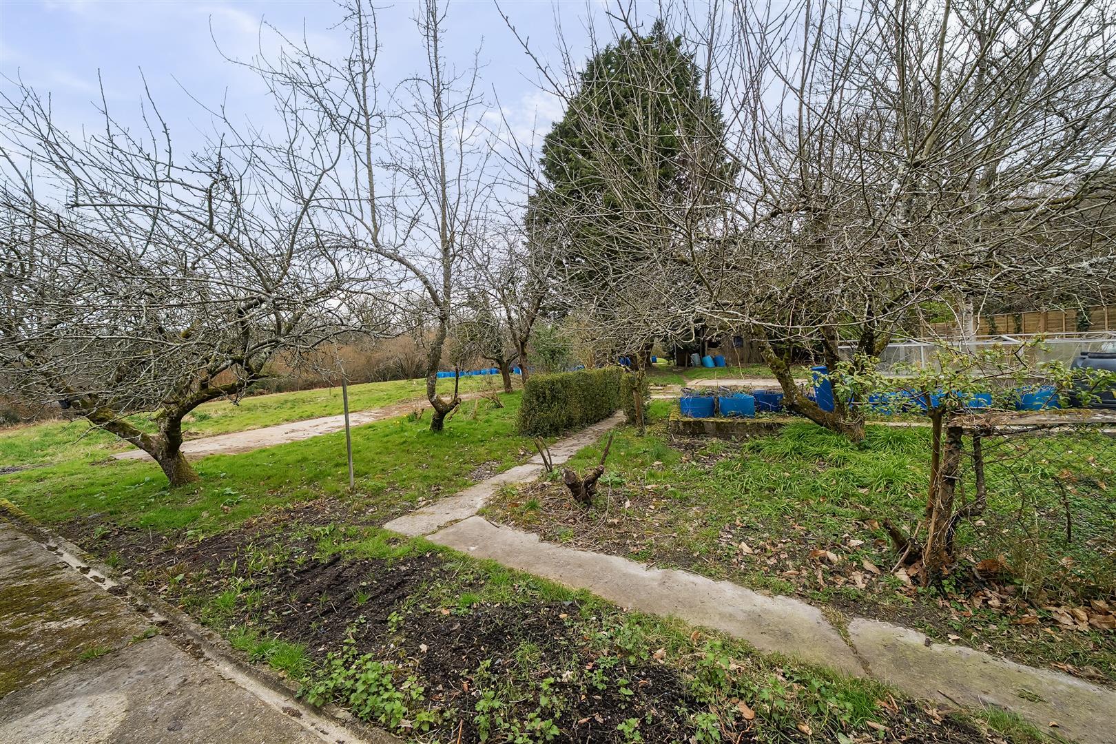 Property Image 0492200a-67b0-4e15-9374-554c072c2c99