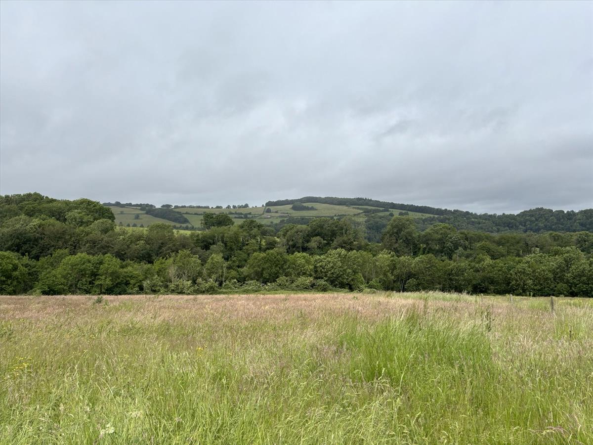 Property Image 049323c1-a05d-4ae7-8d6a-2bf0266a9fb8
