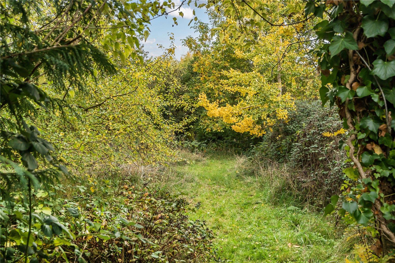 Property Image 04a787f3-0756-4f7e-9fd8-f931873c3223