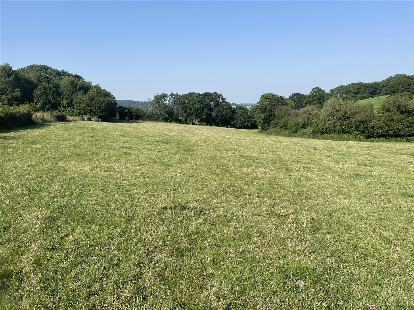 Property Image 04aa4d0e-75f7-4d14-ae02-10ba392aa1d9