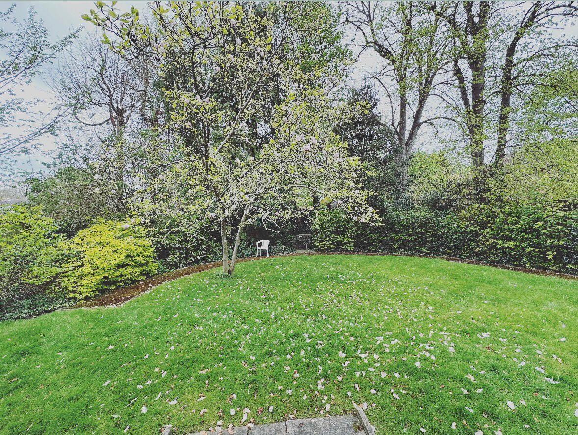 Property Image 04c7e3c3-a46e-4adb-bd40-5fd6735a7221