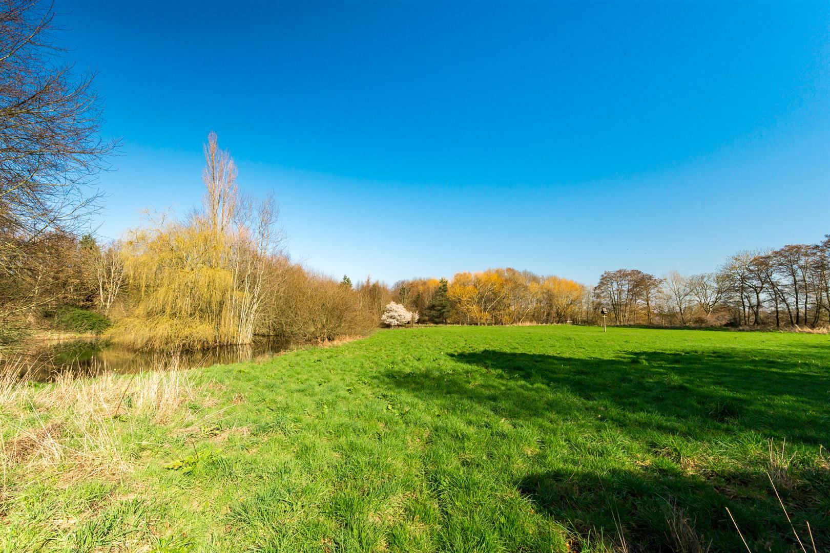 Property Image 04c9ea8b-ac50-40c0-9a02-16b94bfe1b4d