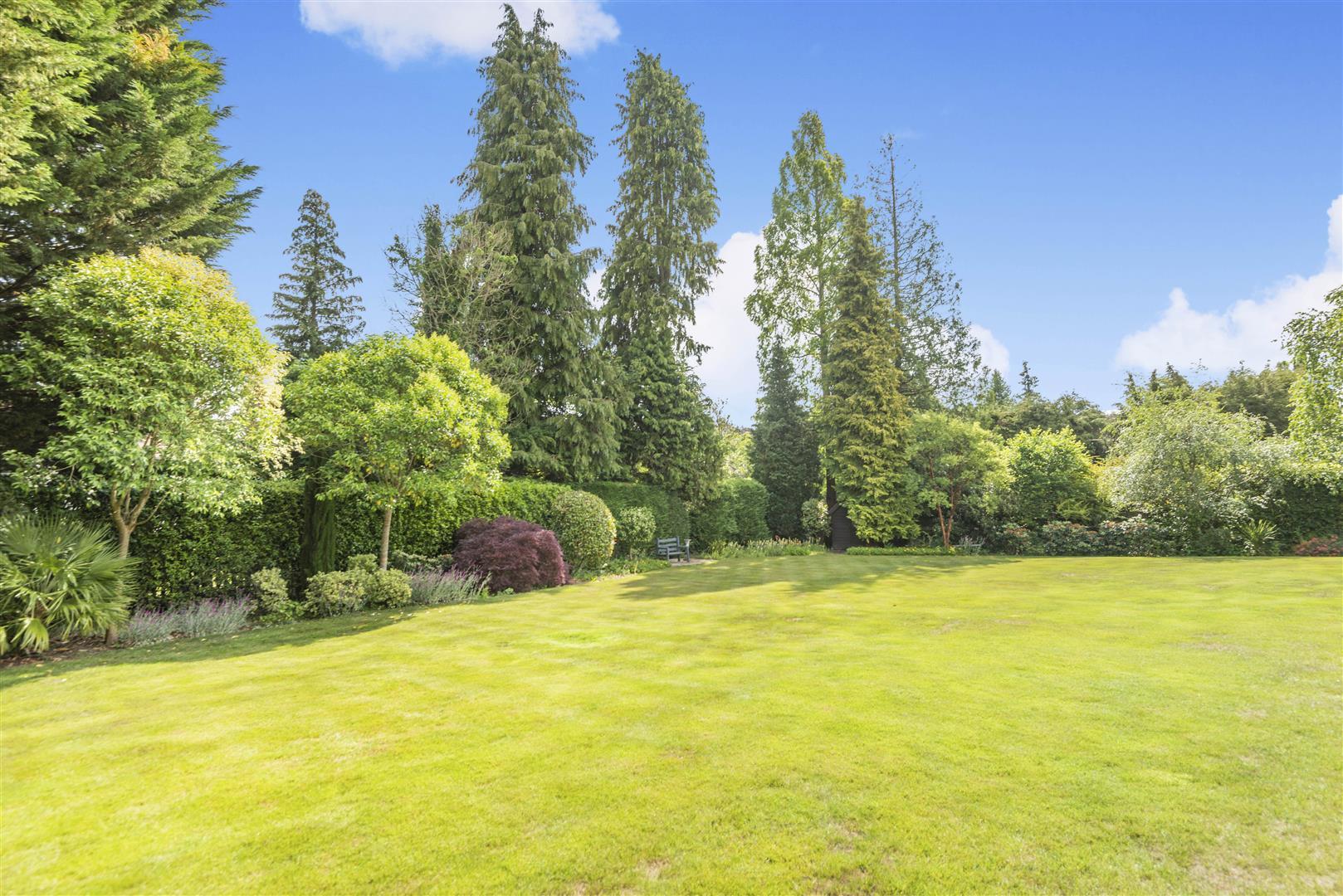 Property Image 04cd7628-69d2-4d19-855b-4e81e23b8043