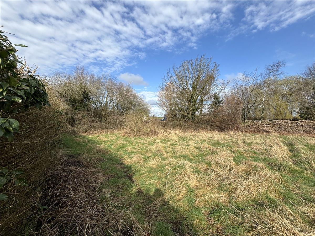 Property Image 05060d6d-efa7-4303-8a45-169f3b9c2aad