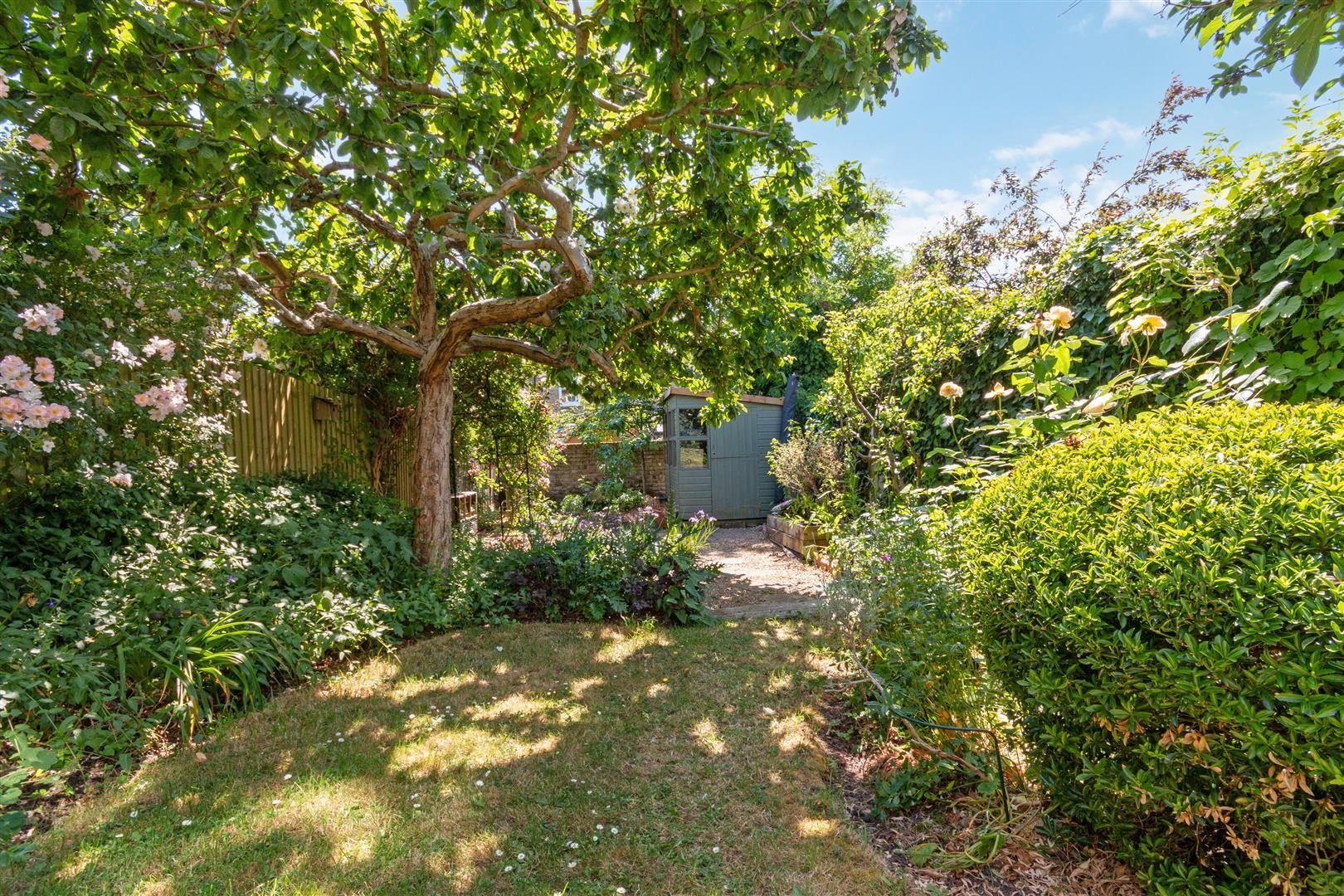 Property Image 050729ef-4c2d-44d7-8ee3-cfcea9e6af1e