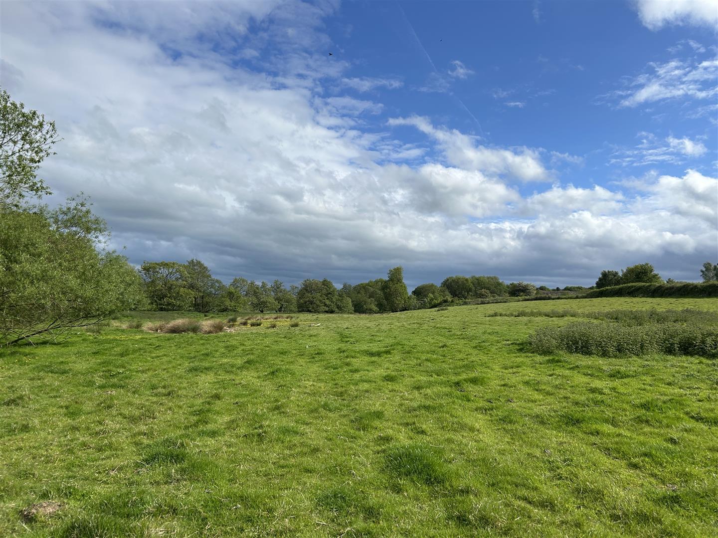 Property Image 0520397f-86b9-4c4f-81fd-96683db1570b
